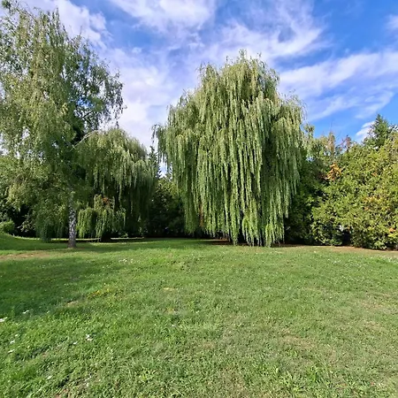 Termal زلاكاروس